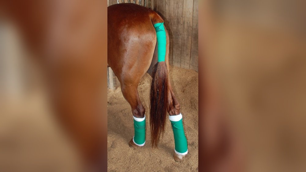 Horse Tail Wrap