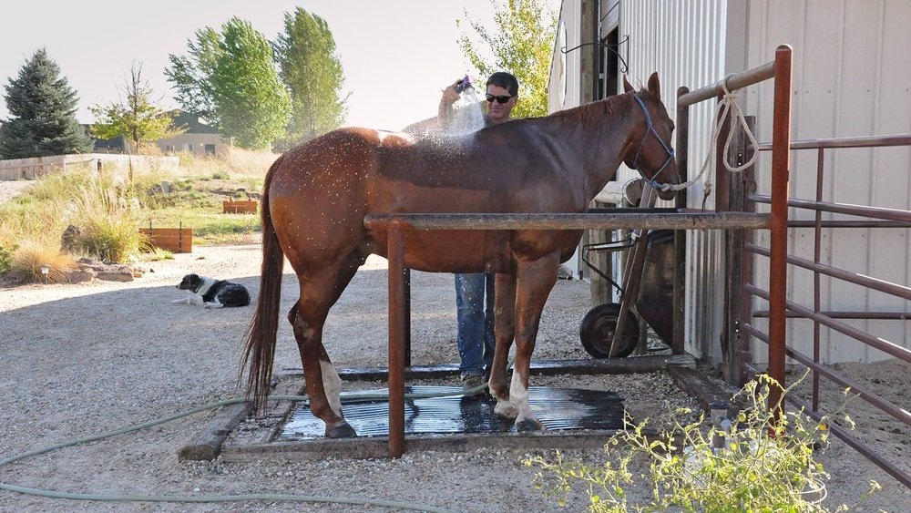 Horse Wash Rack