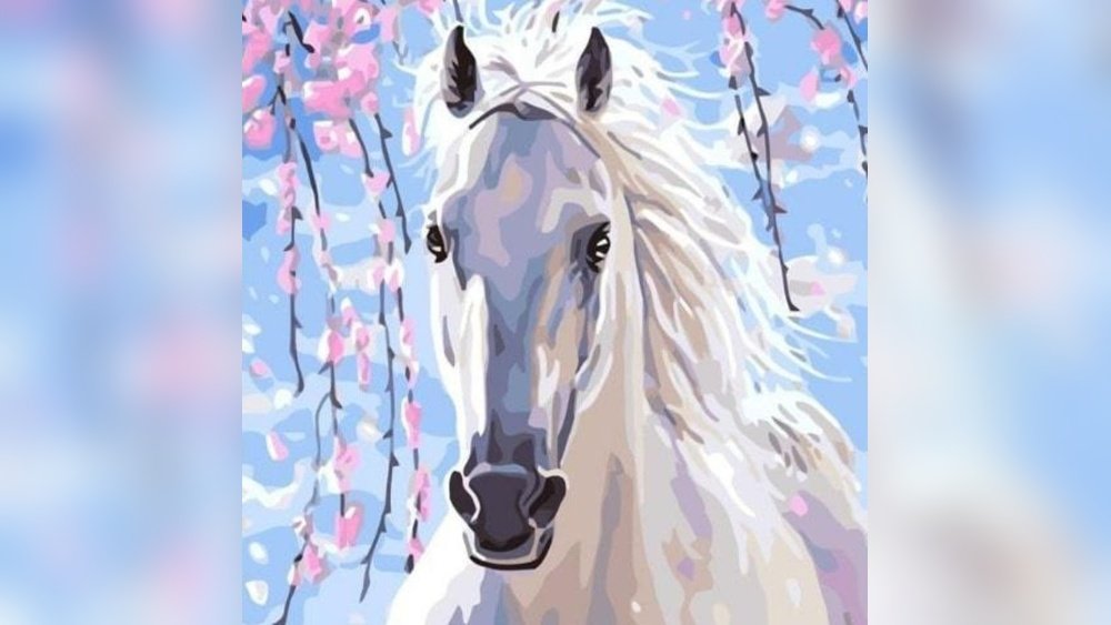 Horses Paint by Number