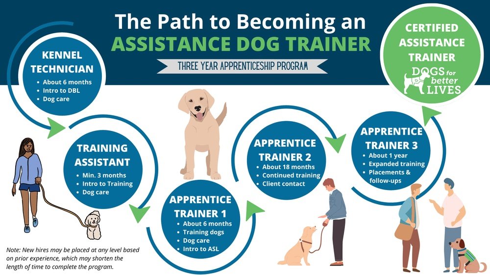 How Do I Become a Service Dog Trainer