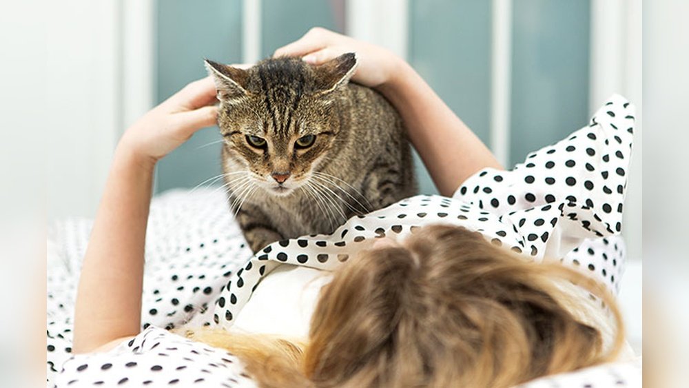 How Do I Stop My Cat from Waking Me Up