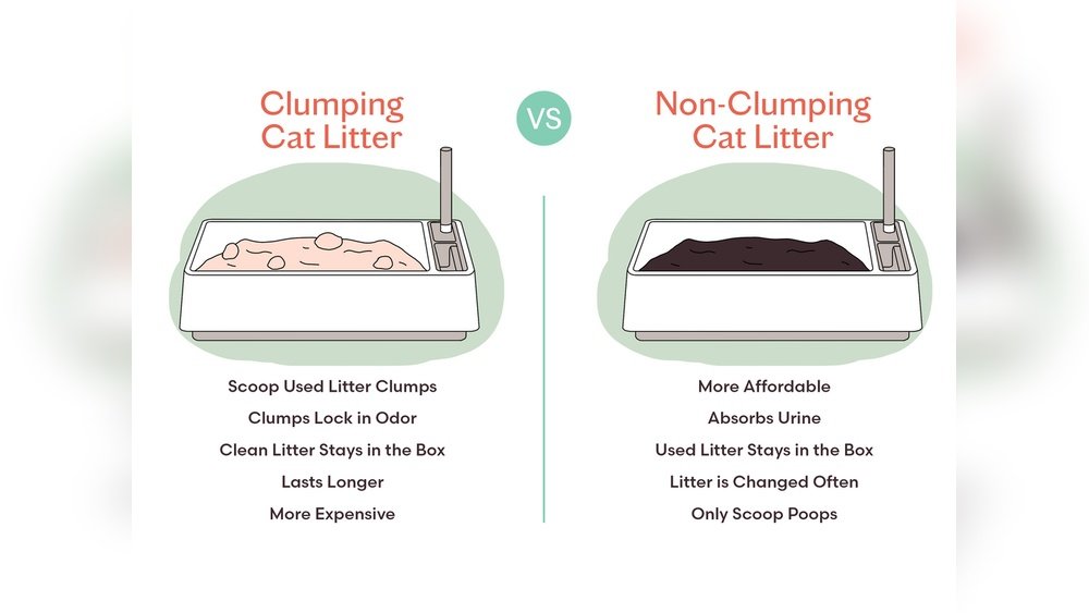 How Do You Clean Non Clumping Cat Litter