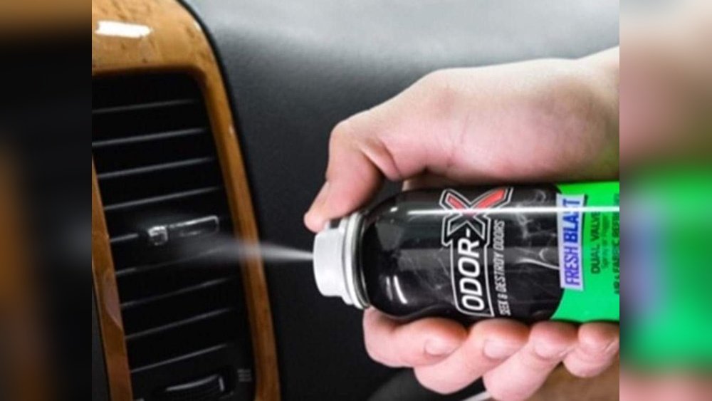 How Do You Get Dog Smell Out of a Car