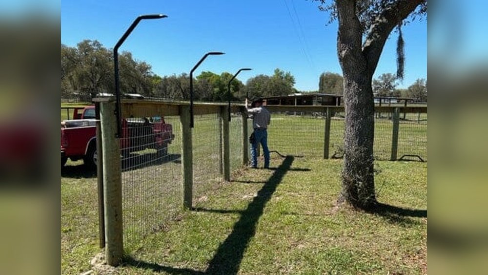 How Do You Stop a Dog from Jumping the Fence