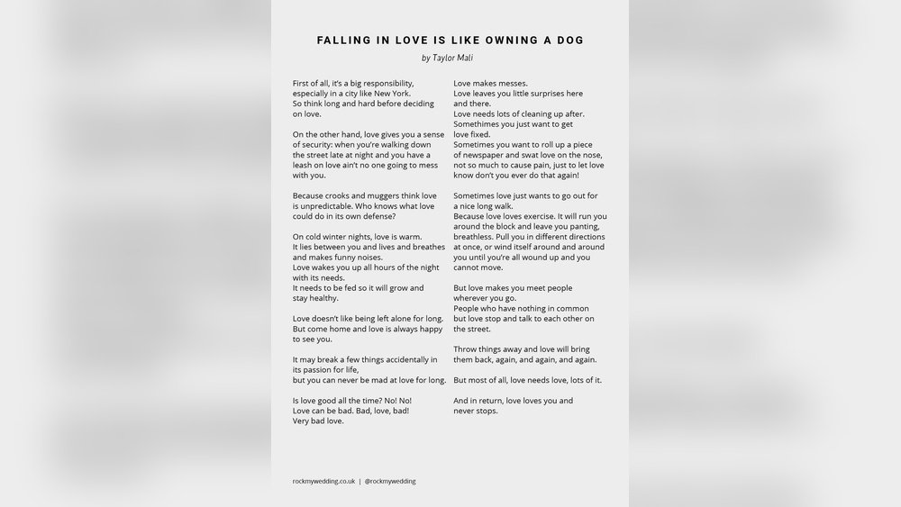 How Falling in Love is Like Owning a Dog