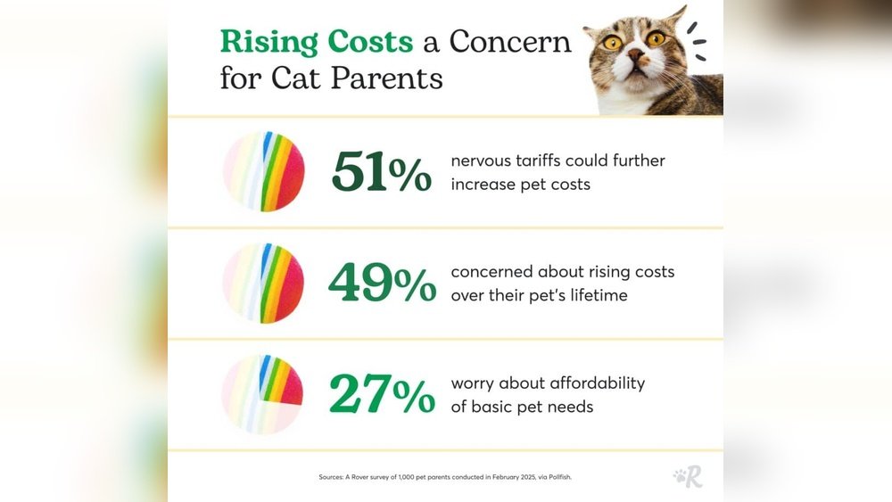 How License Fee is Getting Calculated in Cat Industry