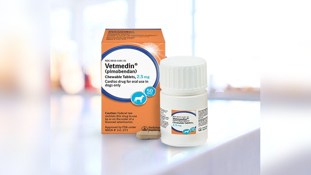 How Long Can a Dog Live on Pimobendan