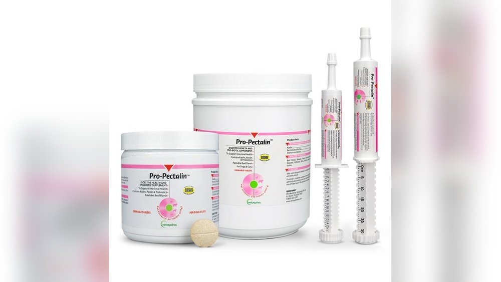 How Long Can a Dog Take Pro Pectalin