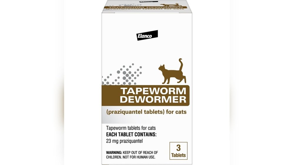 How Long Does Cat Wormer Take to Work