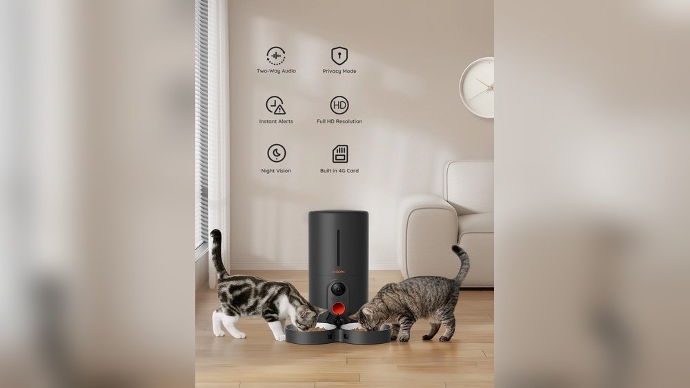 How Long Does Dry Cat Food Last