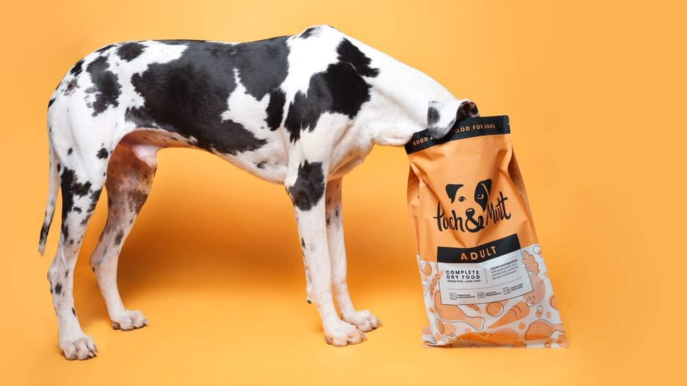How Long is Dry Dog Food Good for
