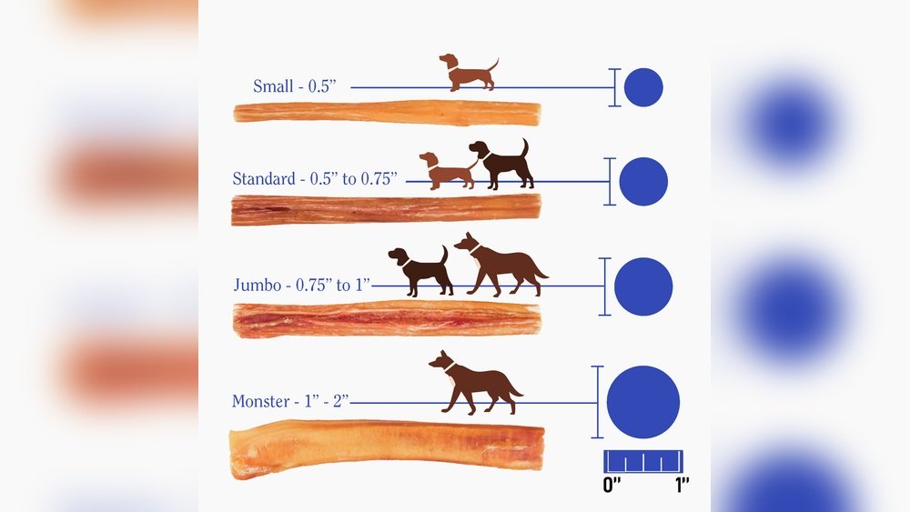 How Many Bully Sticks Can a Dog Have