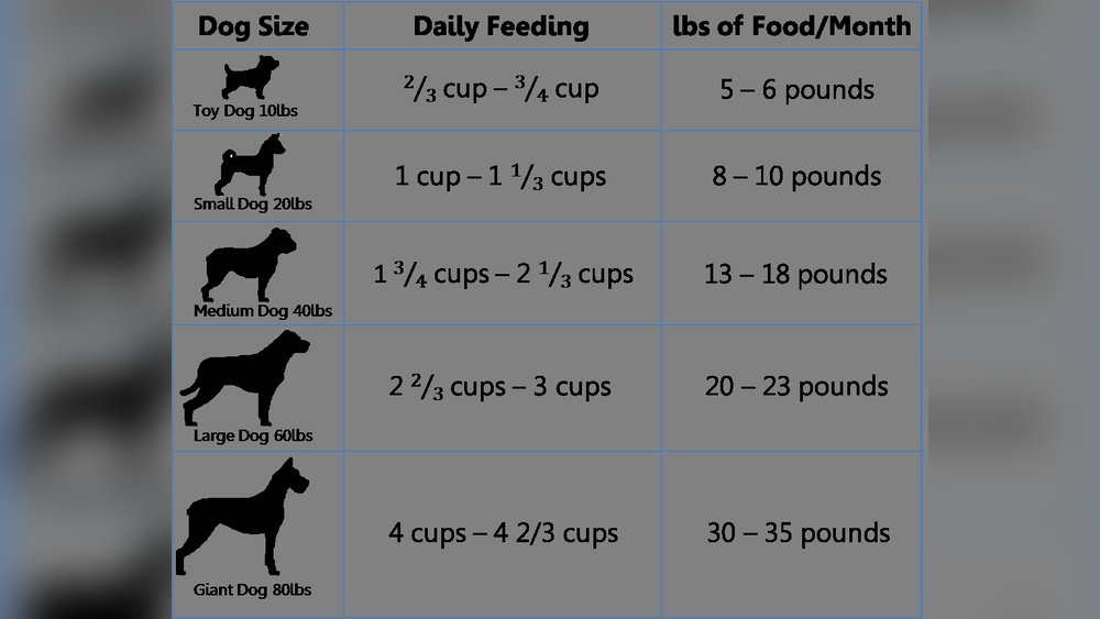 How Many Cups in a 30 Pound of Dog Food