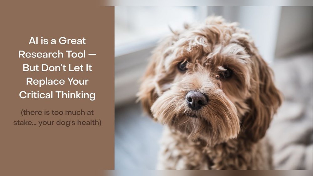 How Many Times Should You Ai a Dog