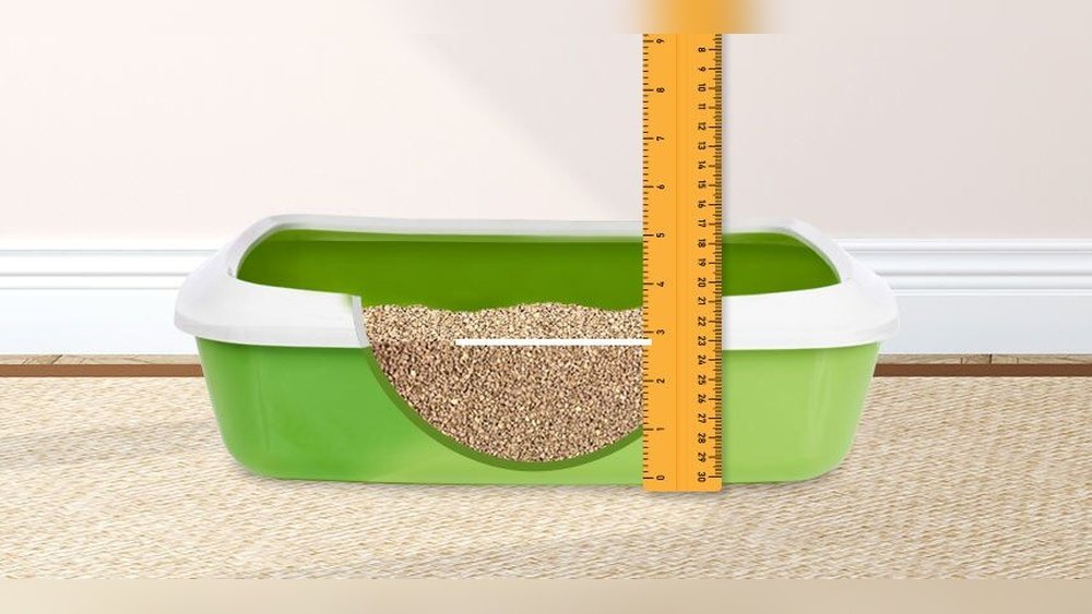 How Much Cat Litter to Use