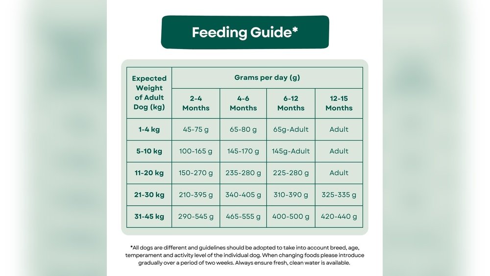How Much Chicken for Dog by Weight Kg