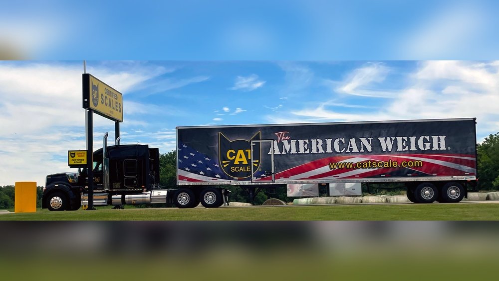 How Much Does a Cat Scale Cost to Install