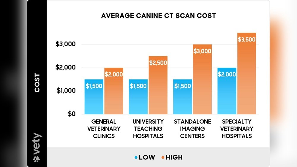 How Much Does a Ct Scan Cost for a Dog