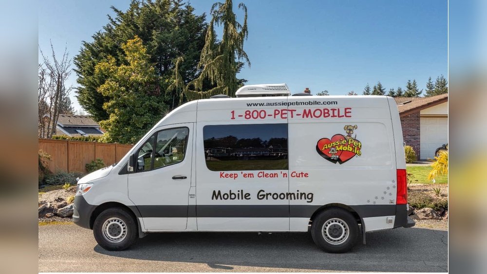 How Much Does a Mobile Dog Grooming Van Cost