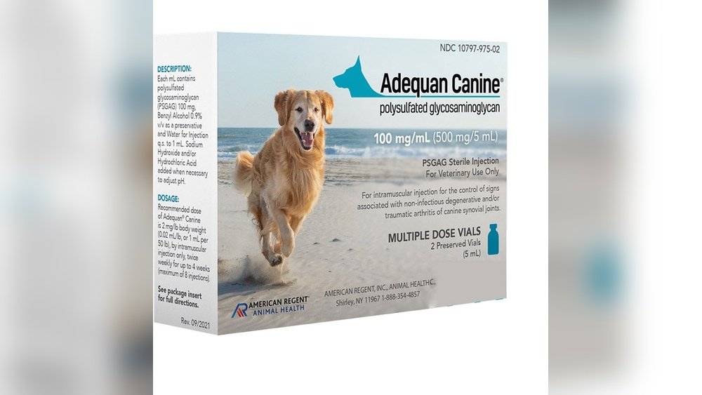 How Much Does Adequan Cost for 70Lb Dog