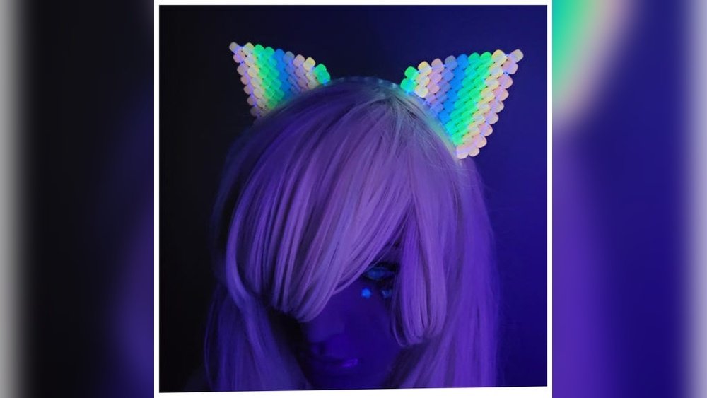 How Much Does the Rainbow Rave Cat Cost