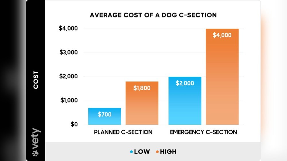 How Much is a Csection for a Dog