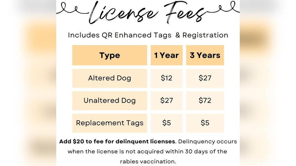 How Much is a License for a Dog