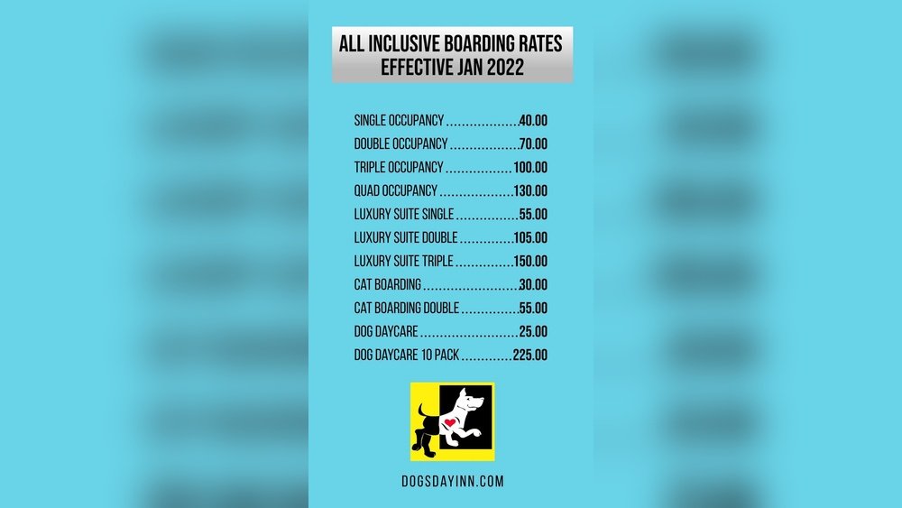 How Much is Dog Daycare