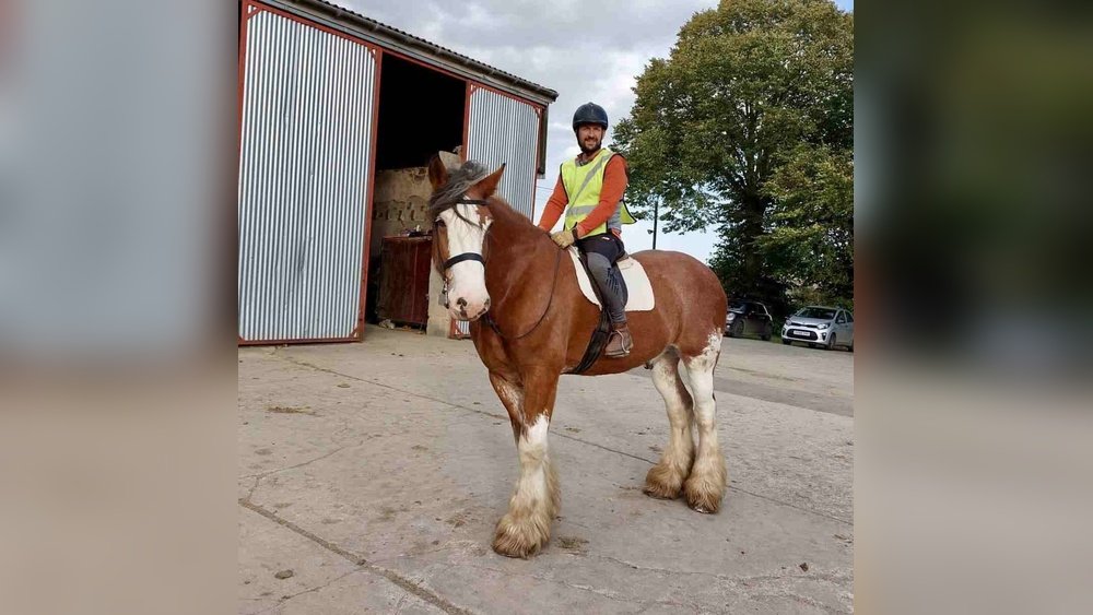 How Much is Horse Riding