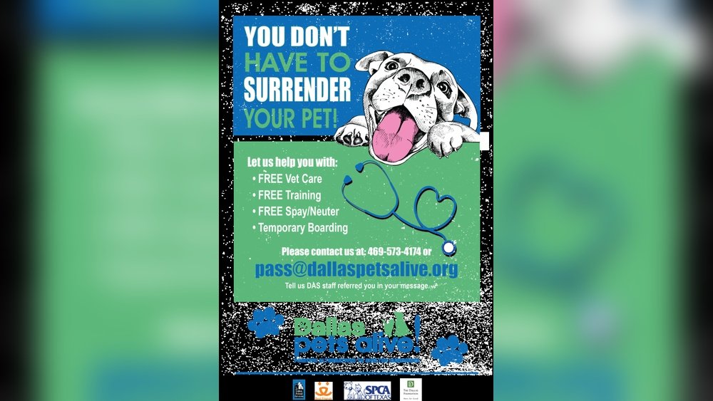 How Much is It to Surrender a Dog