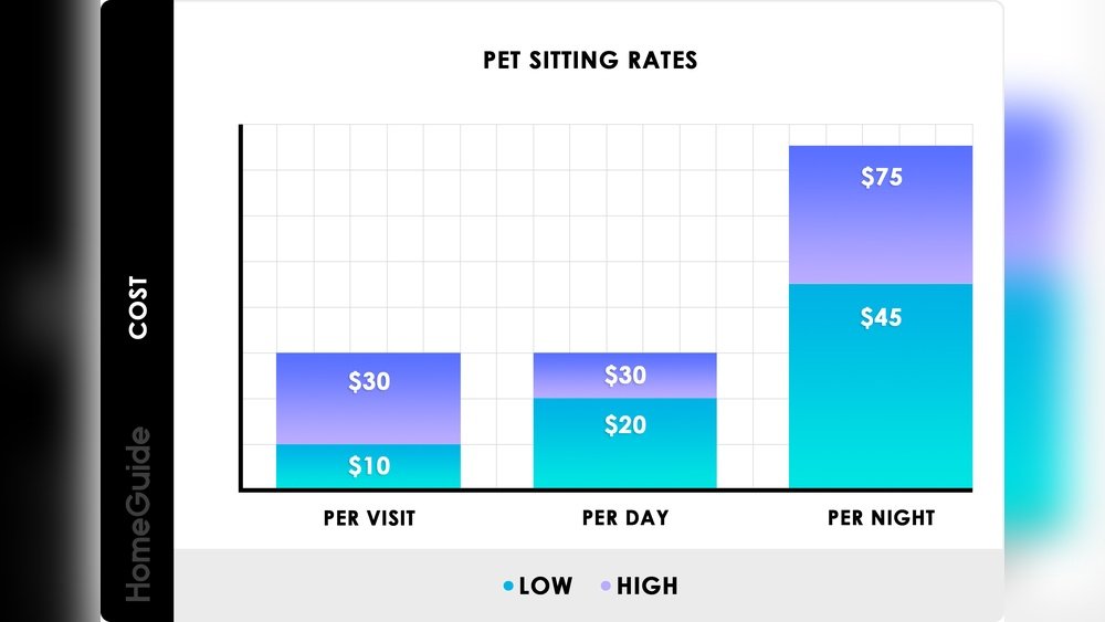 How Much to Pay Cat Sitter Per Day