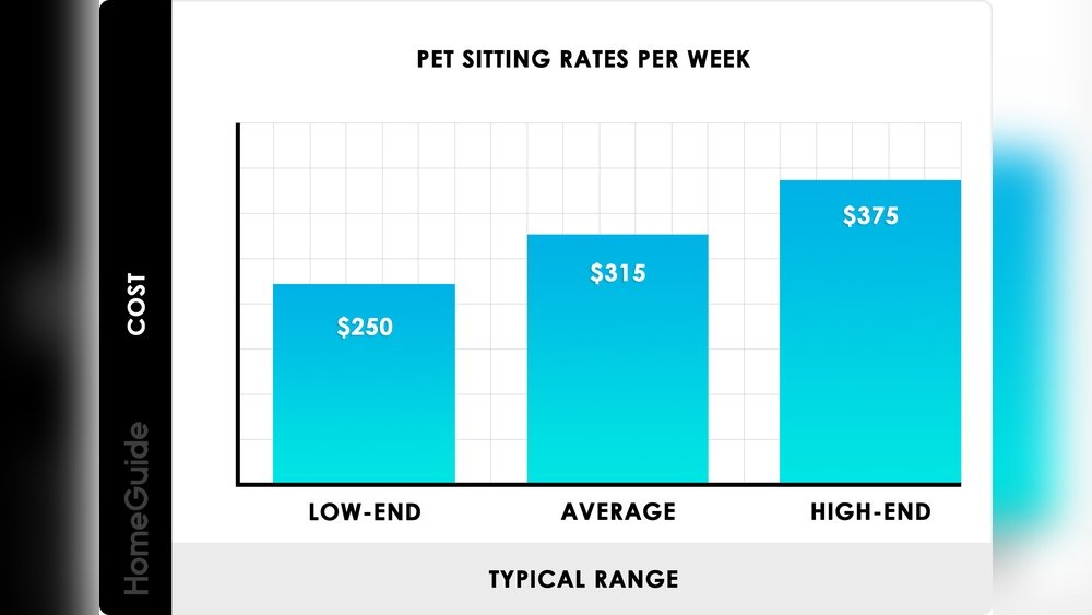 How Much to Pay Overnight Dog Sitter