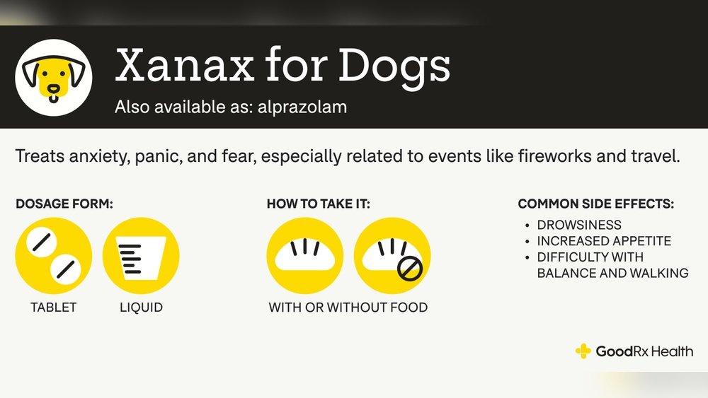 How Much Xanax for a 10Lb Dog