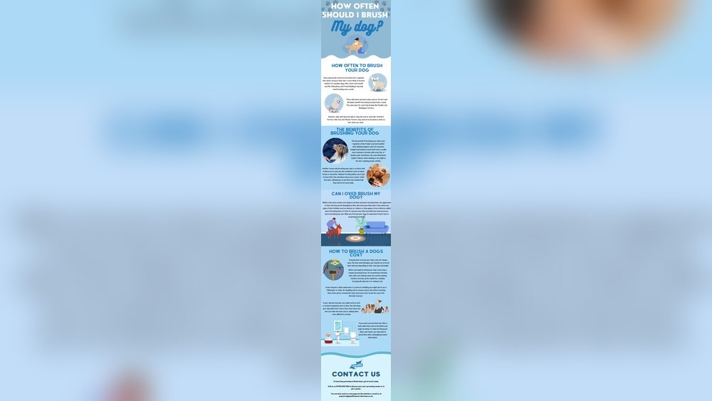 How Often Should I Brush My Dog