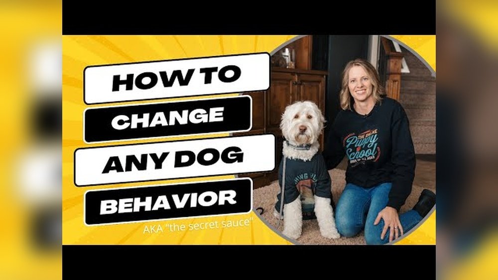 How to Change a Dog