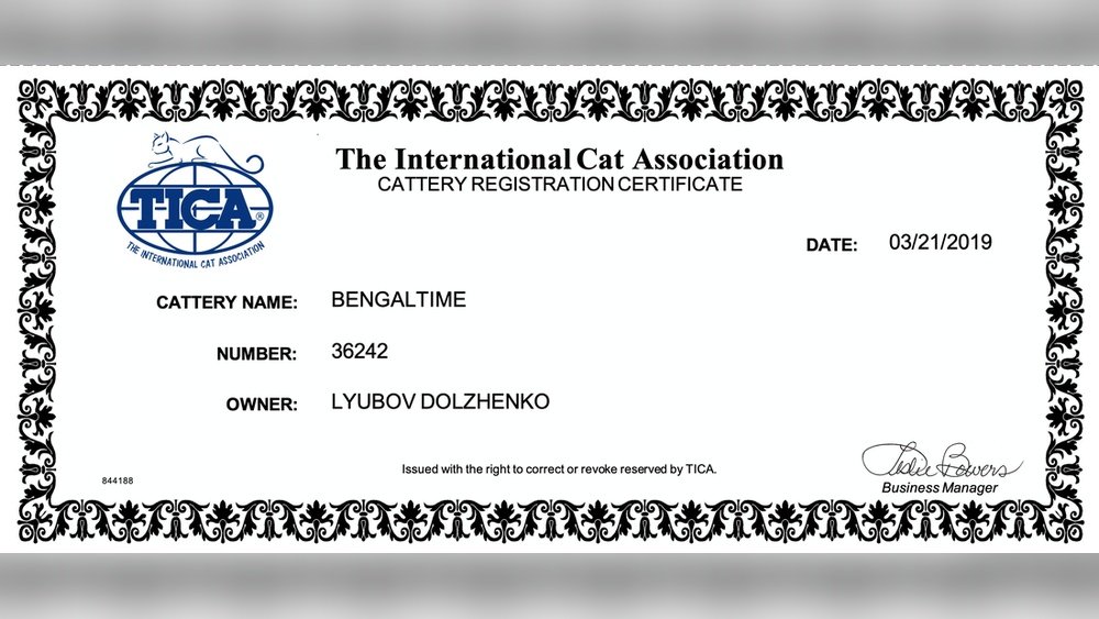 How to Check If a Cat is Tica Registered