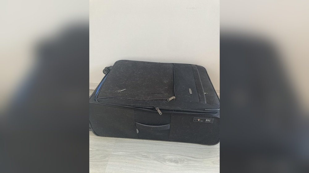 How to Clean a Suitcase With Cat Pee