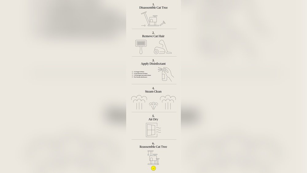 How to Clean Cat Tree