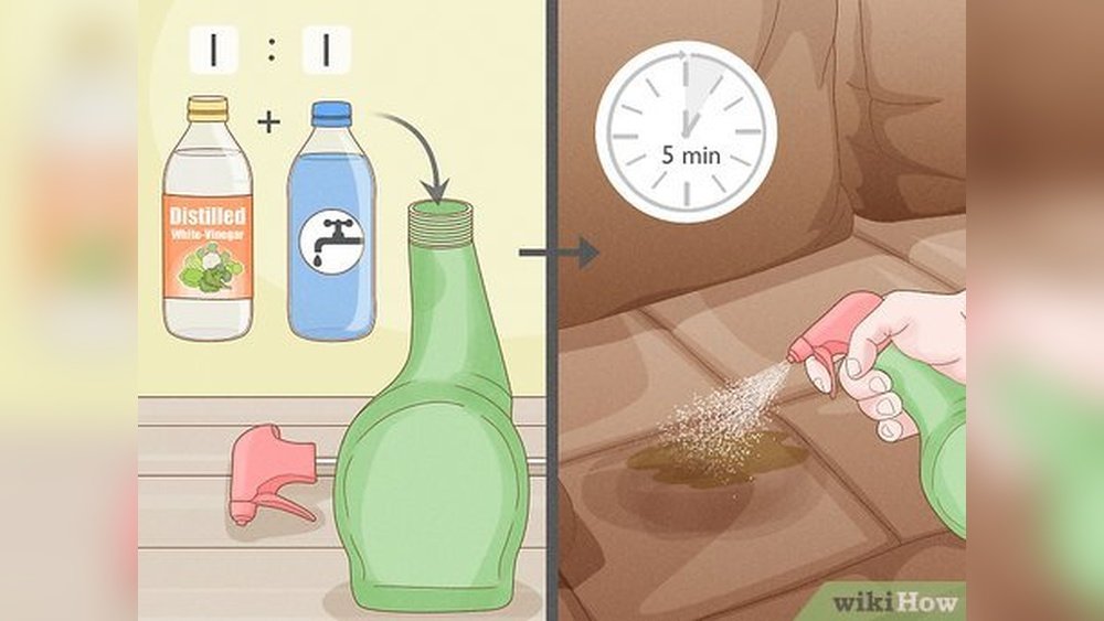 How to Clean Cat Urine off Leather
