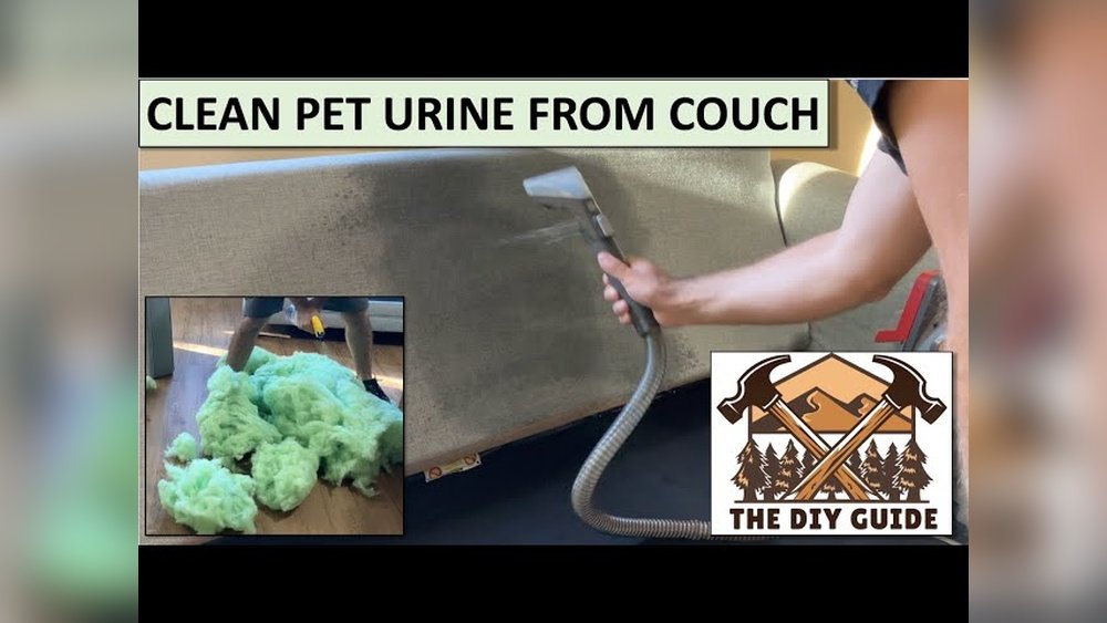 How to Clean Dog Urine from Furniture
