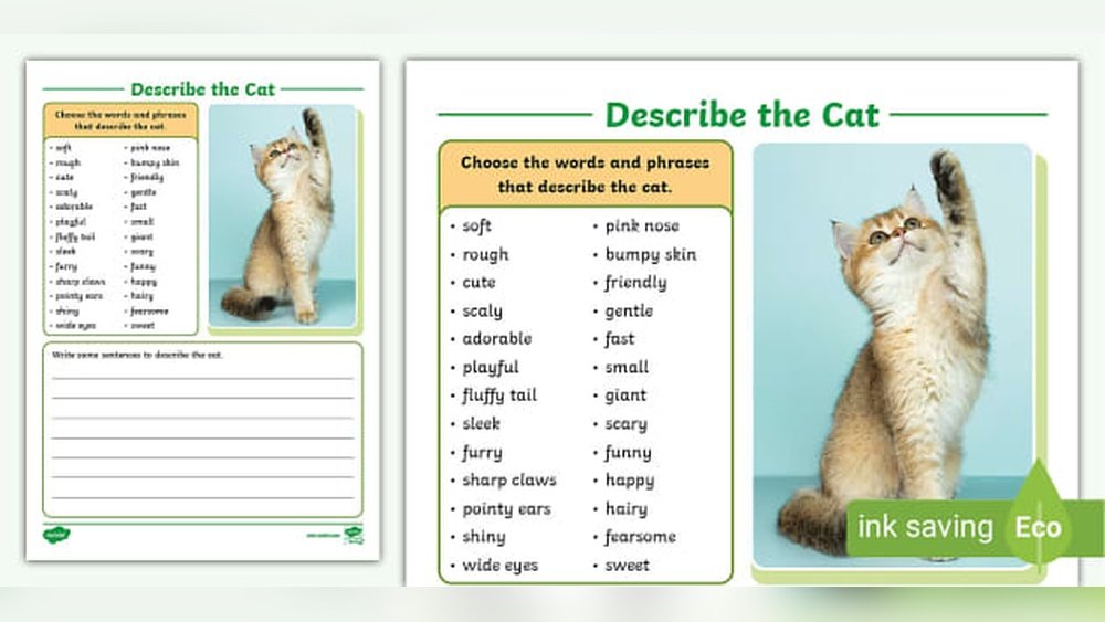 How to Describe a Cat