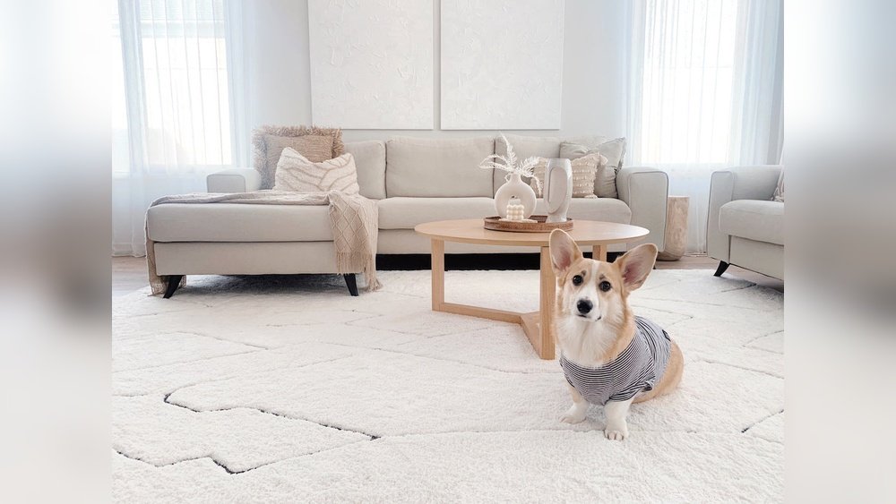 How to Deter Dog from Peeing on Rug