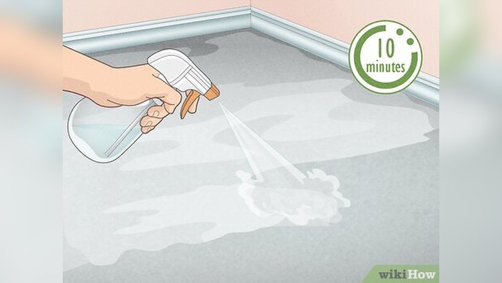 How to Eliminate Cat Urine Odor from Concrete