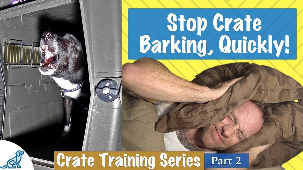 How to Get a Dog to Stop Barking in Cage
