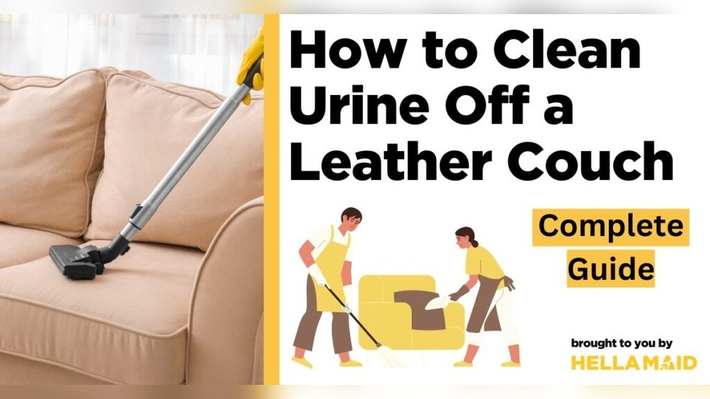 How to Get Cat Pee Out of a Leather Couch