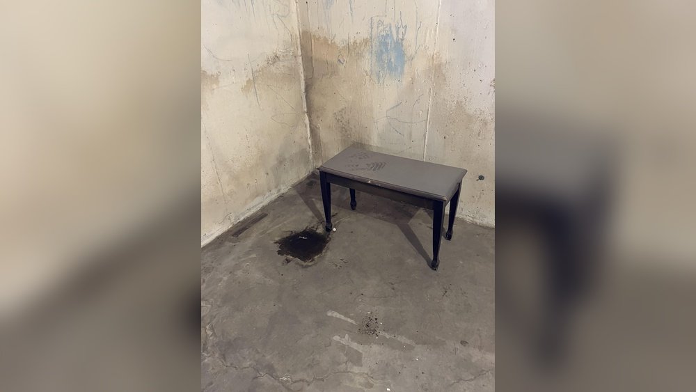 How to Get Cat Pee Out of Concrete