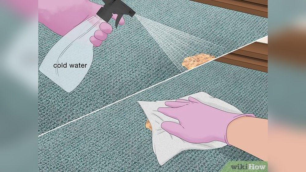 How to Get Cat Puke Out of the Carpet
