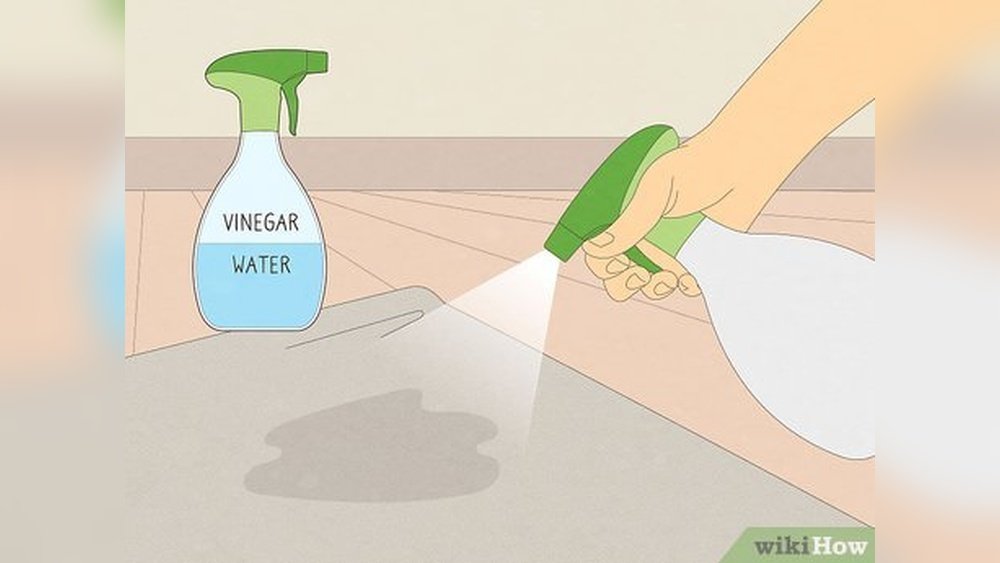 How to Get Cat Spray Out of Carpet