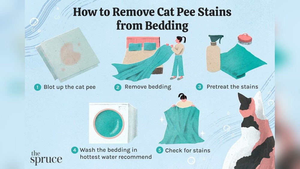 How to Get Cat Urine Out of Comforter