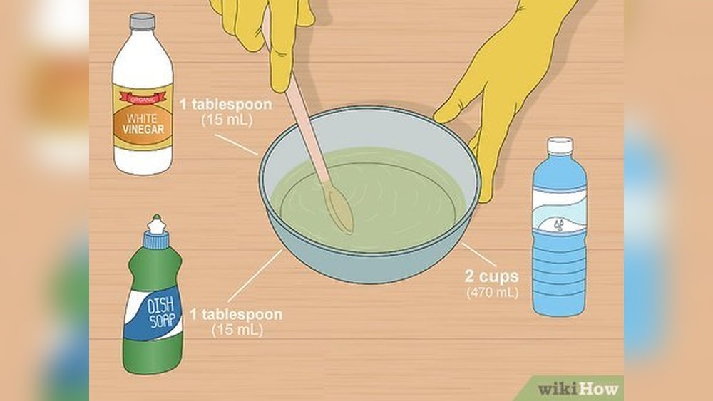 How to Get Cat Urine Smell Out of Car